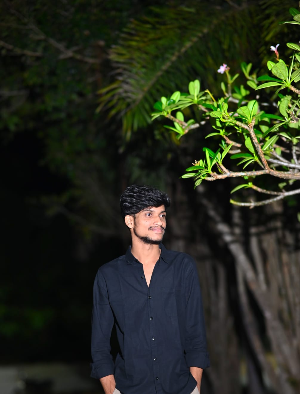 Evening Portrait